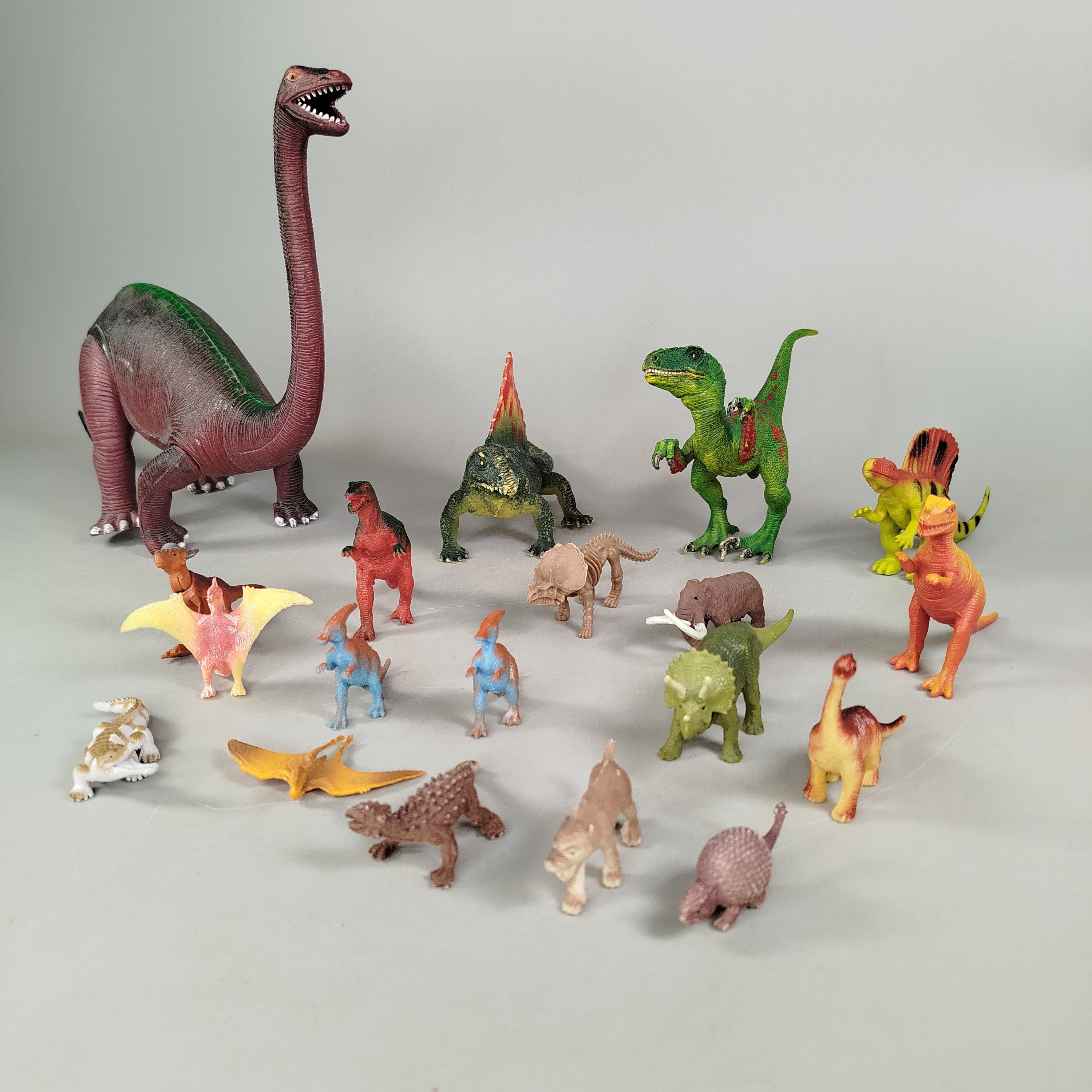 Figuren-Set von 19 Dinosauriern & Urzeittieren – prähistorisches Spielzeug